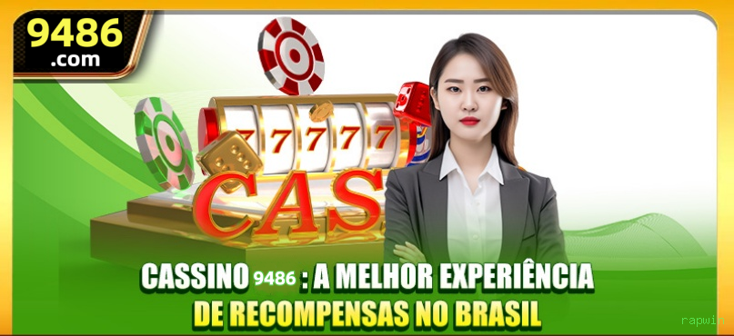 Guias de instalação da rapwin